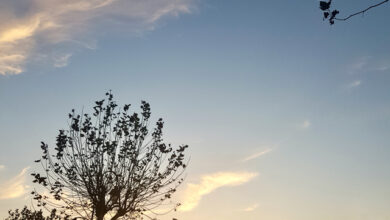 طقس لبنان غداً: غيوم مرتفعة، ضباب على الجبال وارتفاع بالحرارة في الداخل