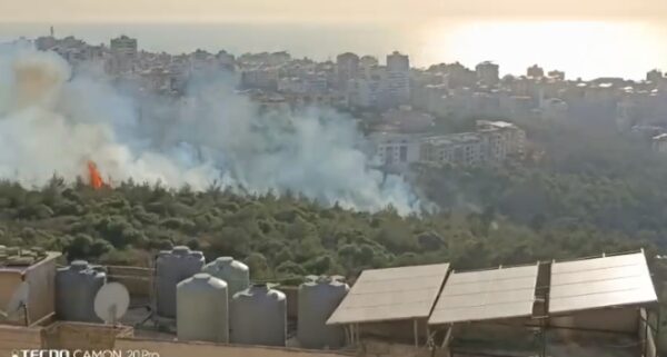 بالفيديو: حريق هائل يضرب بشامون والجيش يتدخل بسرعة لإخماده