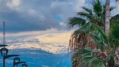 طقس لبنان: ضباب كثيف وانخفاض بالحرارة الأحد في الجبال والداخل