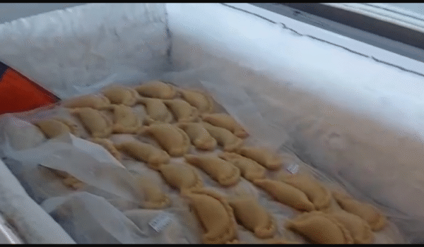 محاضر ضبط