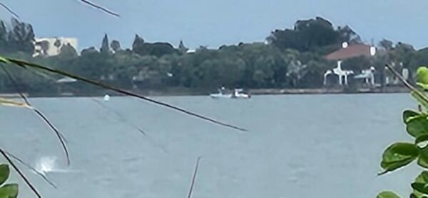 VIDEO: Aircraft Crashes Off Melbourne Beach, FL – 2 People and a Dog Pulled from Water 1 VIDEO: Aircraft Crashes Off Melbourne Beach, FL – 2 People and a Dog Pulled from Water