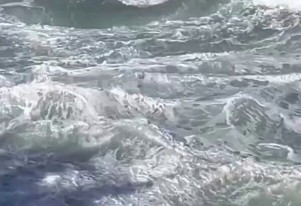 VIDEO: Impresionante rescate de un bañista que se estaba ahogando en la playa de Itacoatiara, en Niterói, Brasil 3 VIDEO: Impresionante rescate de un bañista que se estaba ahogando en la playa de Itacoatiara, en Niterói, Brasil