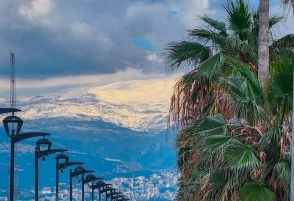 طقس معتدل مع انخفاض بسيط وارتفاع لاحق بالحرارة وتحذير من الحرائق