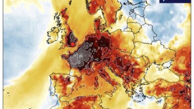 Red Alert Heat Warnings Issued Across Europe as Temperatures Soar