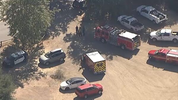 Child Killed, Others Injured After Tree Limb Falls at Calabasas Summer Camp 3 Child Killed, Others Injured After Tree Limb Falls at Calabasas Summer Camp