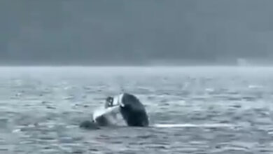 Video: Tragedy on the Volga, Woman Dies After Boat Capsizes in Samara