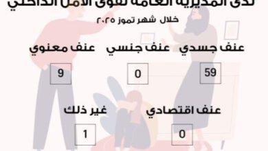 العنف الأسري في لبنان: تقرير تموز 2025 يكشف 59 حالة عنف جسدي وغياب العنف الجنسي والاقتصادي