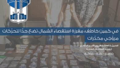 كمين أمني يطيح بمروّجَي مخدّرات في الشمال