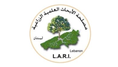 موجة الحر تشتد حتى الخميس مع درجات حرارة تصل إلى 44 درجة في البقاع