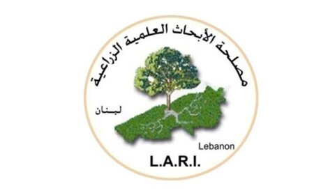 موجة الحر