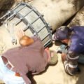 مهارات مايكروسوفت تدعم الابتكار في صيانة مشروع ري صيدا – جزين