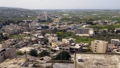 حريق ضخم يلتهم أحراج الزيتون في بلدة البيرة وجهود لإخماده