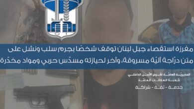 سلب ونشل في جبل لبنان: مفرزة الاستقصاء توقف شخصين وتضبط مسدس حربي ومخدرات