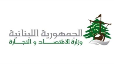 مصلحة الاقتصاد ترفع محاضر ضبط لشركتين مخالفتين في الجنوب