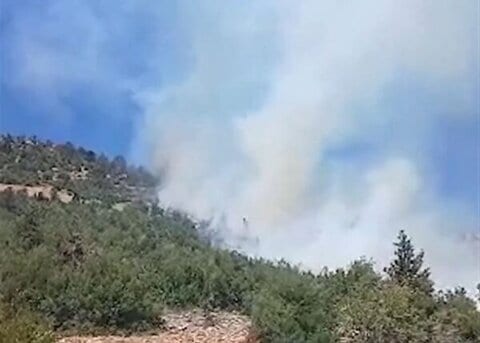 بالفيديو: حريق كبير يلتهم مساحات واسعة في جرود الهرمل 3 جرود الهرمل