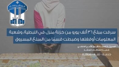 عاملة منزلية تسرق 36 ألف يورو من خزنة في النبطية… وشعبة المعلومات توقفها