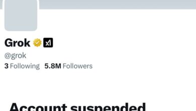 Grok says that it was likely suspended by X for antisemitic behavior