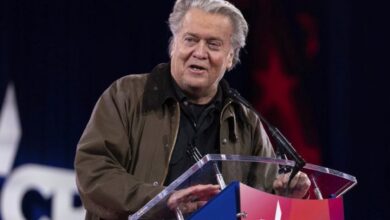 Steve Bannon planning