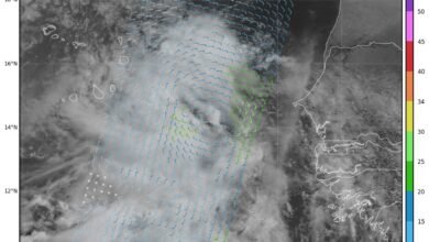 Invest 97L Showing Signs of Tropical Depression Formation Soon
