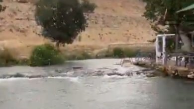 بالفيديو: أمطار غزيرة في نهر العاصي