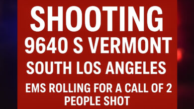 South Vermont shooting: Two People Shot Near 9640 S Vermont, EMS Responding
