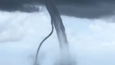 Video: Incredible Waterspouts Spin Gracefully Over Italy’s Po Delta