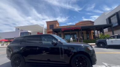 Westfield Topanga Mall shooting video – suspect in custody after woman shot outside Cheesecake Factory