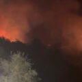 بالفيديو: حريق في جرود البترون بين بشعلة وجاج ودوما