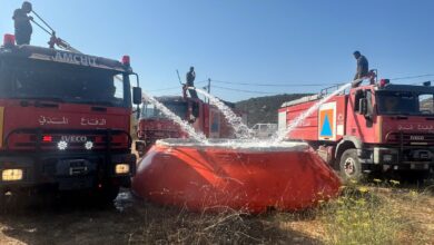 فيديو وصور: بخطة ميدانية محكمة واستنفار شامل… الدفاع المدني يُحبط كارثة بيئية في كفتون ويُخمد عشرات الحرائق من طرابلس إلى الشوف