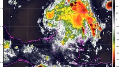 Invest 98L Bay of Campeche monitored by NHC with 20 percent chance of tropical development