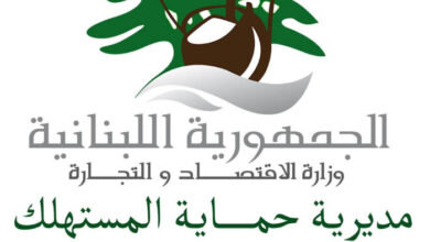 وزارة الاقتصاد والتجارة تراقب أسعار الكهرباء والمحلات في محافظة النبطية