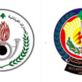 فضيحة سيارات المعوقين: جمارك لبنان تحقق في استيراد سيارات فارهة ببطاقات مزورة