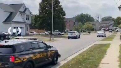 Police Search Flatwood Park Video Shows K9s and Helicopters in Active Manhunt