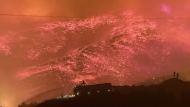 Shocking scenes of the forest fire in Antalya, Turkey