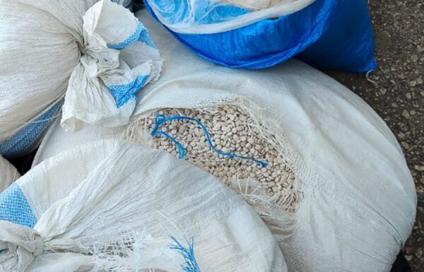 بالصور: الجيش يضبط 5 ملايين حبة كبتاغون في الفرزل – زحلة 3 بالصور: الجيش يضبط 5 ملايين حبة كبتاغون في الفرزل – زحلة