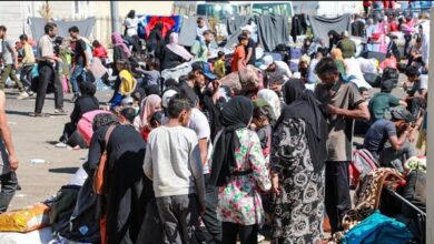 الخولي: تجاهل ملف النزوح السوري استخفاف باللبنانيين وتحدٍّ لسيادة الدولة