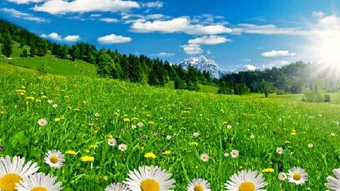 طقس لبنان