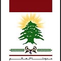 وزارة الخارجية تقترح إلغاء المادتين 112 و 122 للسماح للمغتربين باقتراع النواب وفق دوائرهم