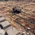 بالفيديو: تدهور سيارة في سن الفيل يسفر عن إصابة