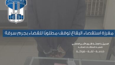 مفرزة استقصاء البقاع توقف مطلوبًا للقضاء بجرم سرقة