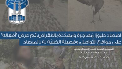 اصطاد طيورًا مُهاجرة ومهدّدة بالانقراض، ثم عرض “أفعاله” على مواقع التّواصل، وفصيلة الضنيّة له بالمرصاد