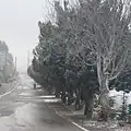 الطقس في لبنان: رياح ناشطة جنوباً وحرارة تتخطى المعدلات الجبلية 17 الطقس في لبنان: رياح ناشطة جنوباً وحرارة تتخطى المعدلات الجبلية