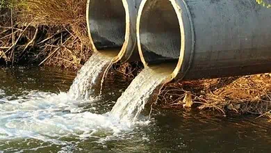 رضا: لمحاسبة مستخدمي مياه الصرف الصحي في ريّ المزروعات بقاعا 5 رضا: لمحاسبة مستخدمي مياه الصرف الصحي في ريّ المزروعات بقاعا