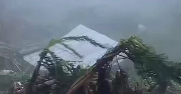 Video: Hear the ferocious winds ripping across Jamaica 1 Video: Hear the ferocious winds ripping across Jamaica