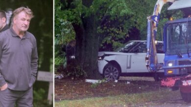 Alec and Stephen Baldwin CRASH INTO TREE in East Hampton, NY