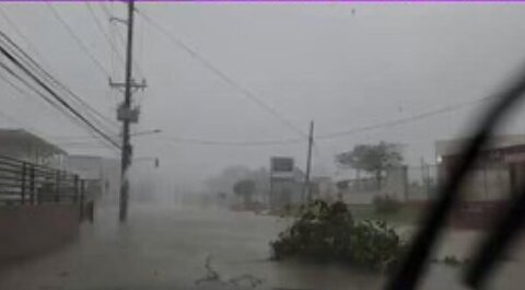 Video: Massive Flooding in Mandeville, Jamaica Leaves Car Stranded as Roads Swamp 1 Video: Massive Flooding in Mandeville, Jamaica Leaves Car Stranded as Roads Swamp