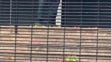 Photo: This is reportedly the man who carried out the attack on a synagogue in Manchester