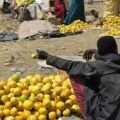 منطقة خصبة في السودان يتعفن فيها الطعام رغم انتشار المجاعة والحرب، فما القصة؟ #عاجل 46 منطقة خصبة في السودان يتعفن فيها الطعام رغم انتشار المجاعة والحرب، فما القصة؟ #عاجل