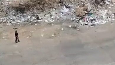 بالفيديو: شاب يثير الخوف في طرابلس.. وتحرك عاجل لقوى الأمن