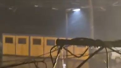 بالفيديو: سقوط شجرة في مدينة صور جراء العواصف